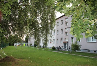 bildergalerie image 9