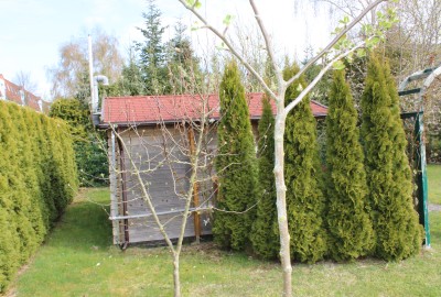 bildergalerie image 10